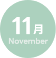 11月